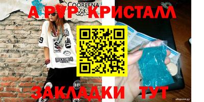 индика Камышлов