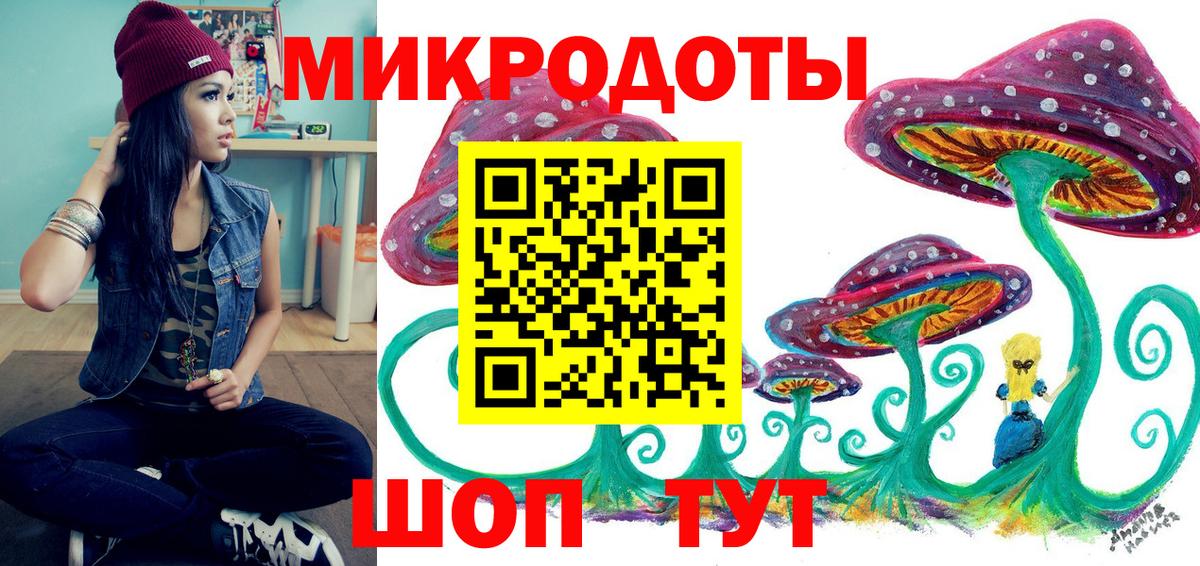 Галлюциногенные грибы Psilocybe Кропоткин